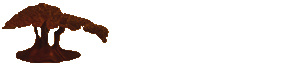 OzTimber Treasures